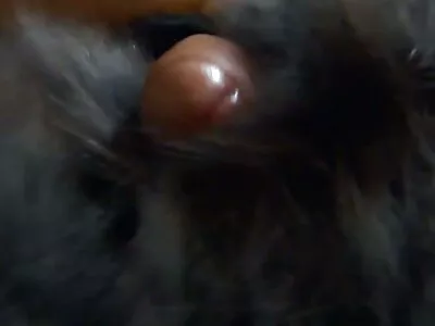 বোজেনা এবং ক্রিস্টফ সেক্স ভিডিও hd